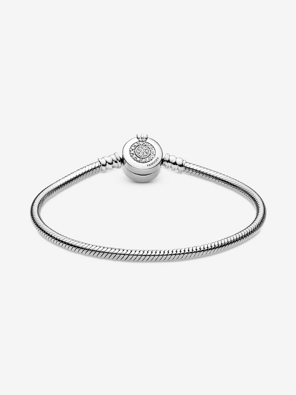 Snake Chain Bracelet