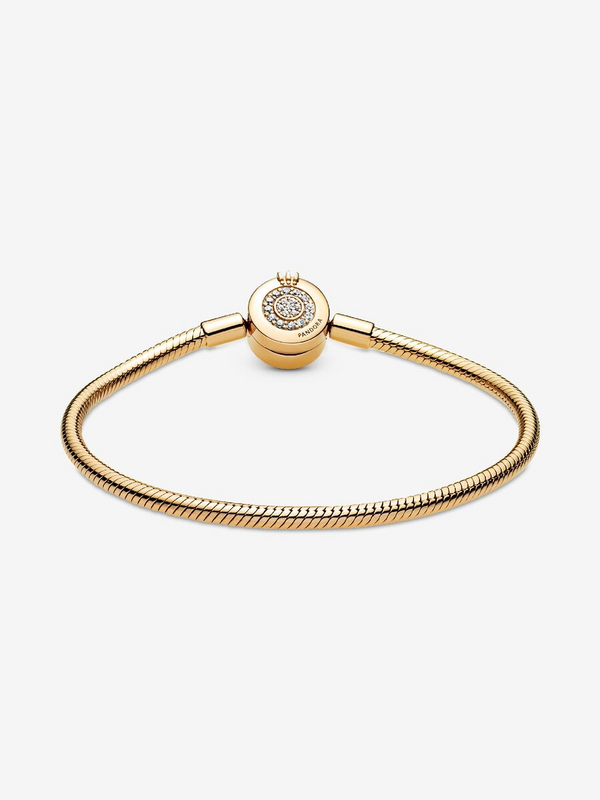 Snake Chain Bracelet